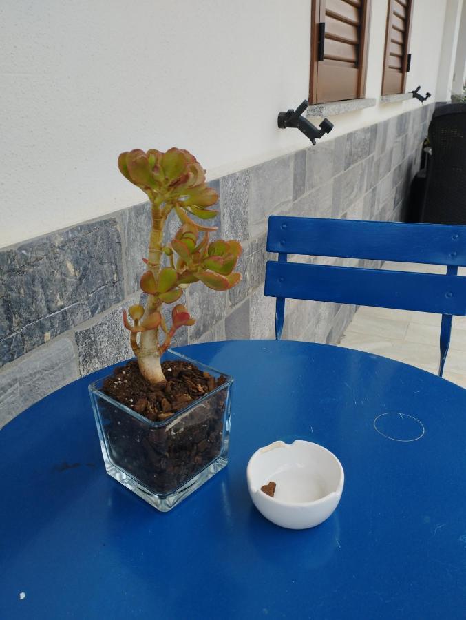 Affitta Camere Zio Peppe 圣特奥多罗 外观 照片